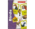 Birds - Flash Cards